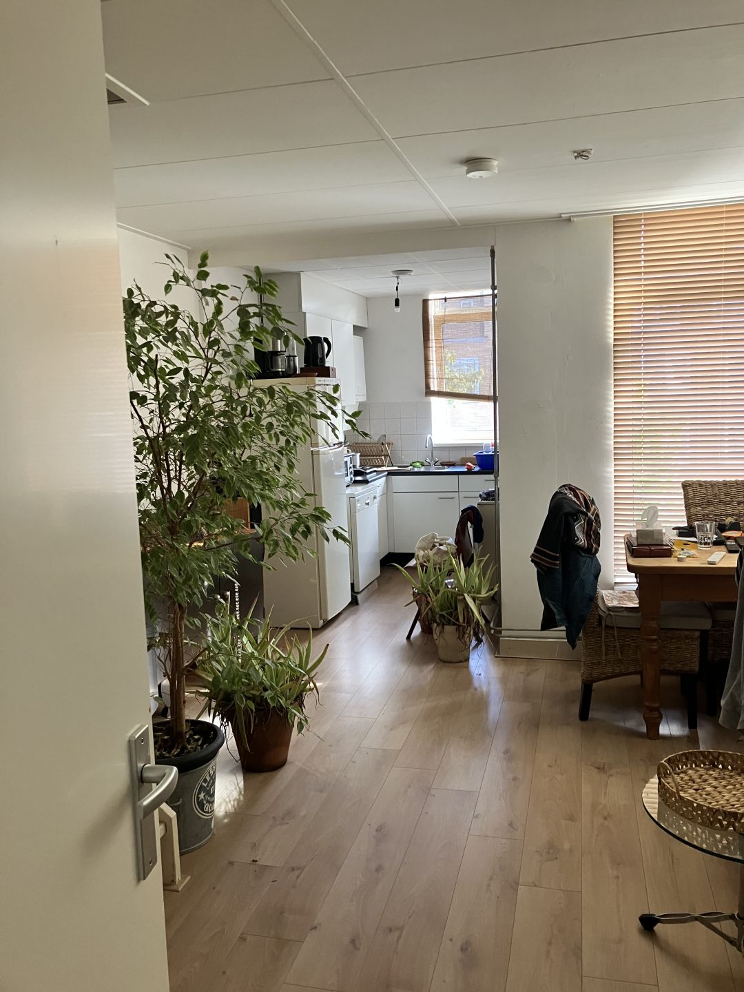 Tweede Oosterparkstraat