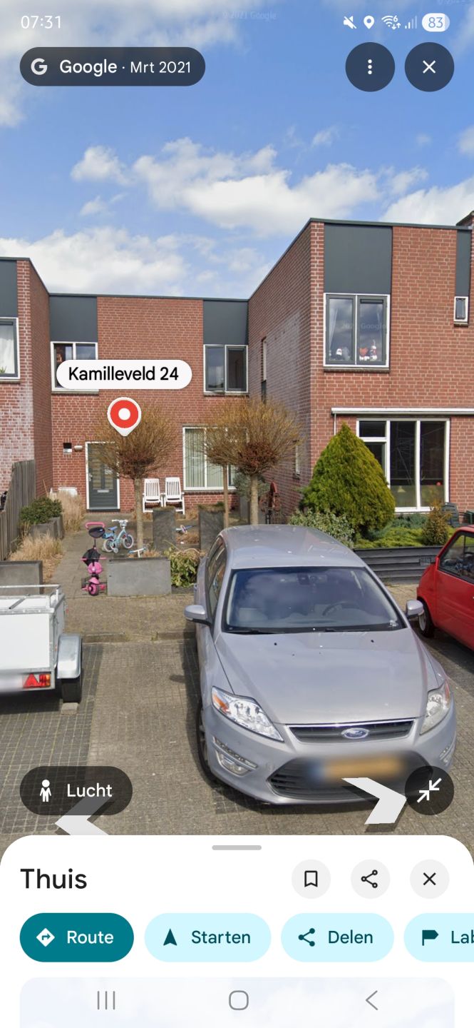Kamilleveld