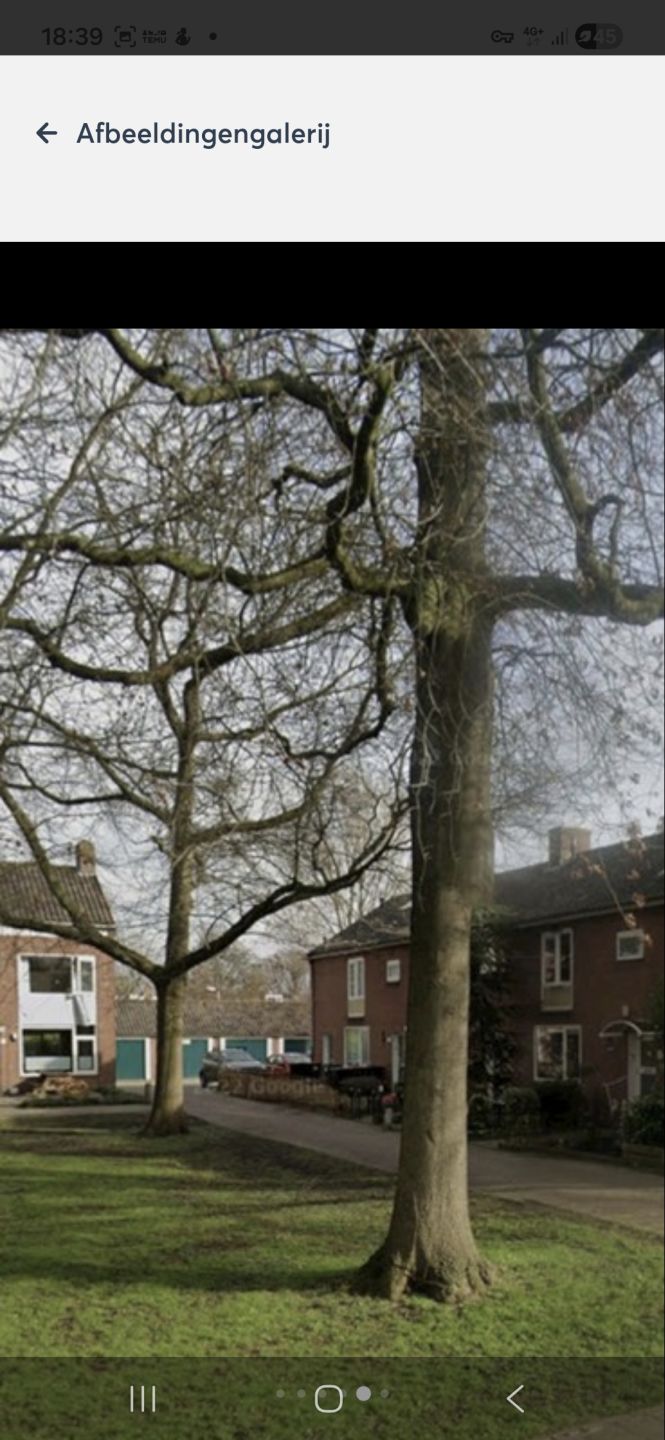 Johan van Oldenbarneveldtlaan