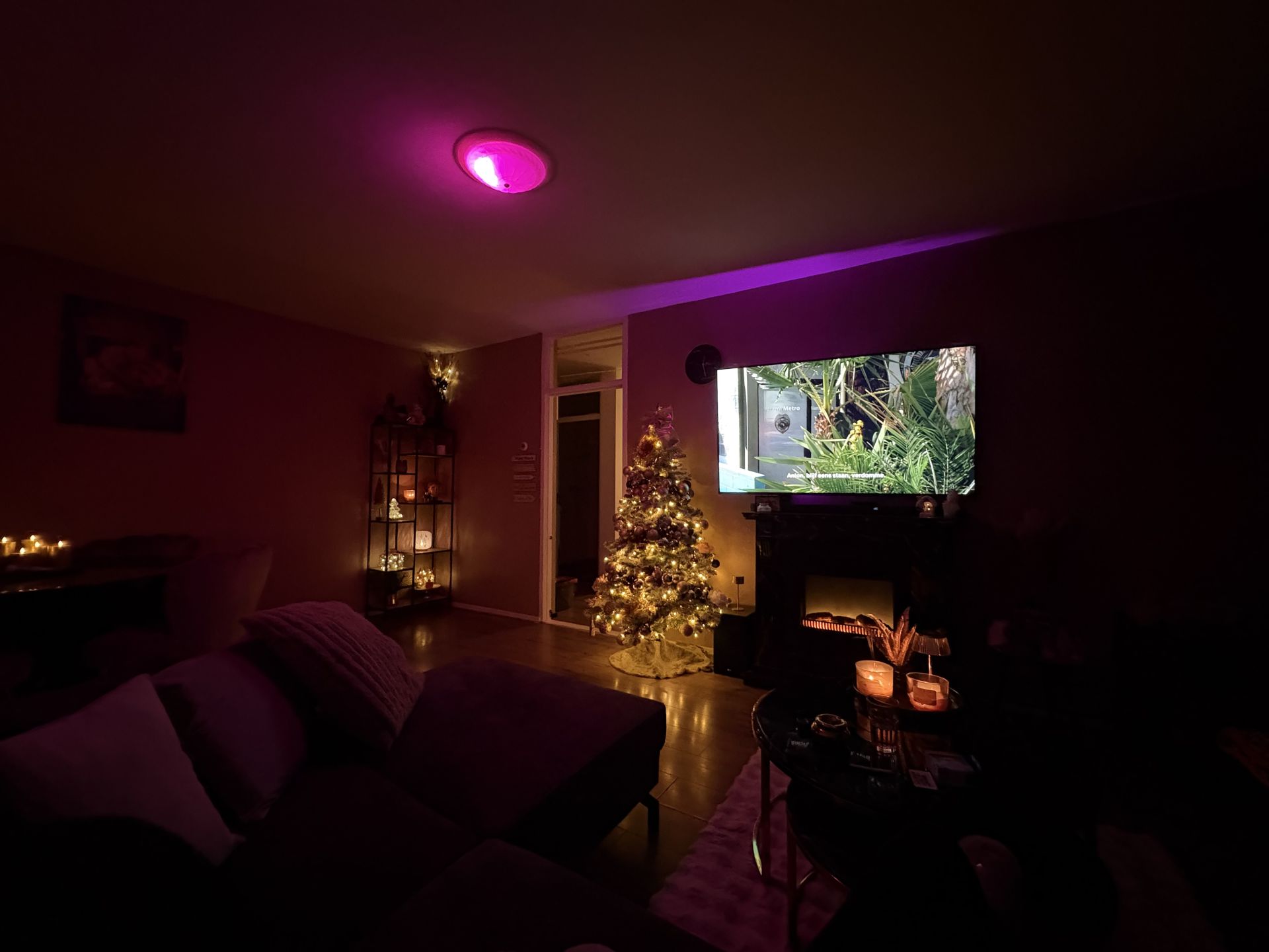 Den Bloeyenden Wijngaerdt